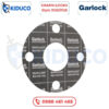 Gioăng Garlock - GRAPH-LOCK® Style 3123/3125