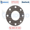 Gioăng Garlock - GRAPH-LOCK® Style 3124/3126