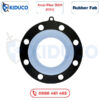 Gioăng Rubber Fab - Ansi-Flex 150# PTFE Gaskets For Flanges