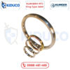 Gioăng Kim Loại KLINGER® RTJ-Ring Type Joint Gaskets