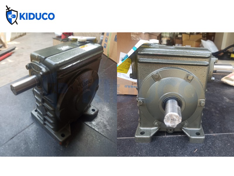 Standard Worm Reducer