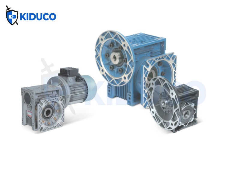 Century Worm Reducer