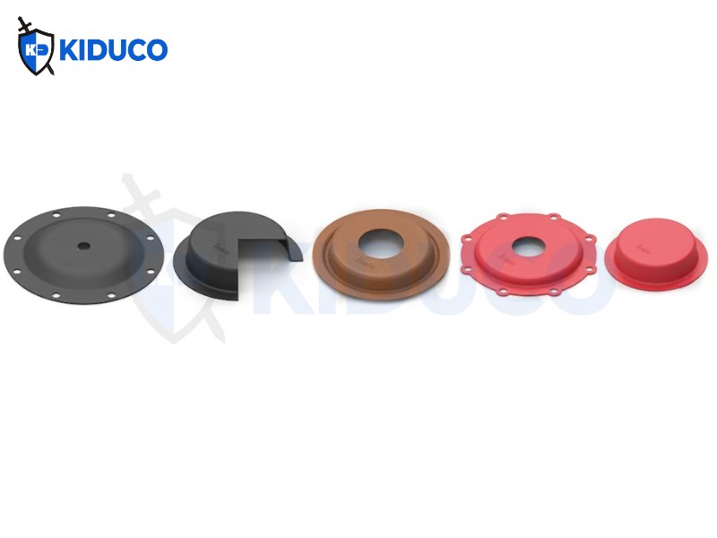 Thông số kỹ thuật Dished Diaphragms
