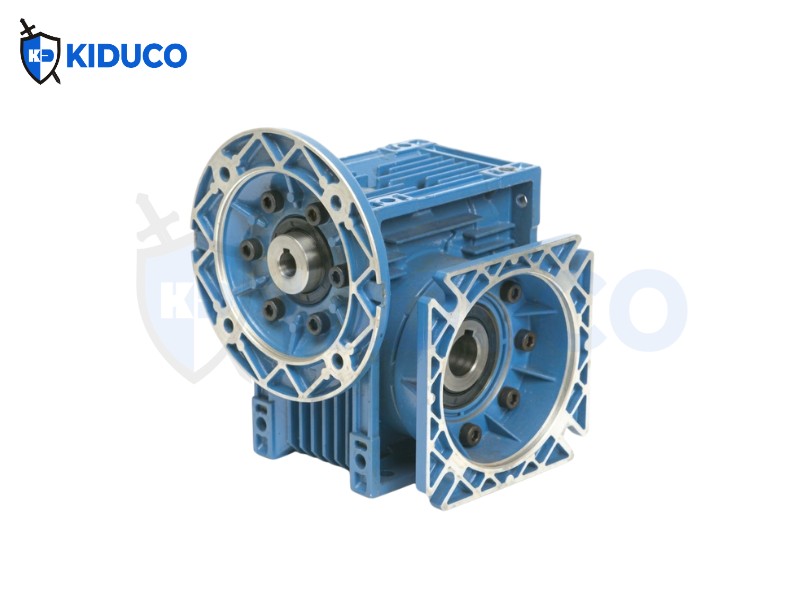 Đặc điểm Century Worm Reducer